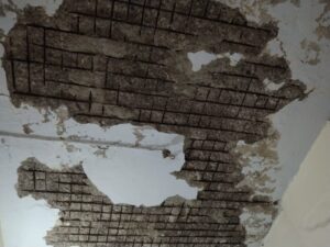 WhatsApp Image 2024-01-09 at 12.47.25 AM